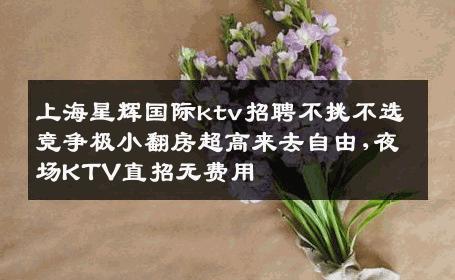 上海星辉国际ktv招聘不挑不选竞争极小翻房超高来去自由,夜场KTV直招无费用