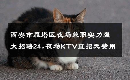西安市雁塔区夜场兼职实力强大招聘24,夜场KTV直招无费用