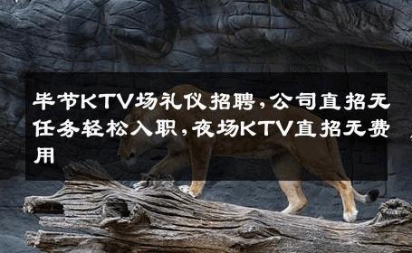 毕节KTV场礼仪招聘,公司直招无任务轻松入职,夜场KTV直招无费用