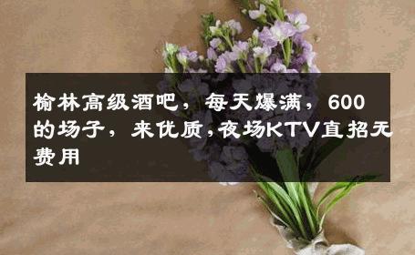 榆林高级酒吧，每天爆满，600的场子，来优质,夜场KTV直招无费用
