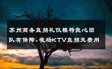 苏州商务直招礼仪模特良心团队有保障,夜场KTV直招无费用