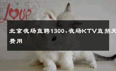 北京夜场直聘1300,夜场KTV直招无费用