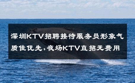 深圳KTV招聘接待服务员形象气质佳优先,夜场KTV直招无费用