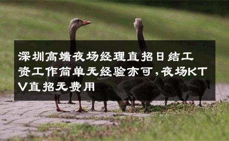 深圳高端夜场经理直招日结工资工作简单无经验亦可,夜场KTV直招无费用
