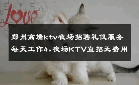 郑州高端ktv夜场招聘礼仪服务每天工作4,夜场KTV直招无费用