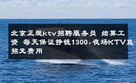 北京正规ktv招聘服务员 结算工资 每天保证挣钱1300,夜场KTV直招无费用