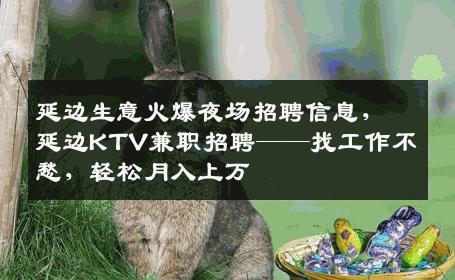延边生意火爆夜场招聘信息，延边KTV兼职招聘——找工作不愁，轻松月入上万