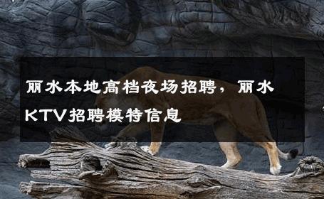 丽水本地高档夜场招聘，丽水KTV招聘模特信息
