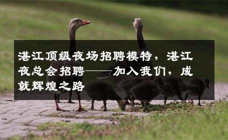 湛江顶级夜场招聘模特，湛江夜总会招聘——加入我们，成就辉煌之路