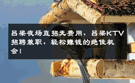 吕梁夜场直招无费用，吕梁KTV招聘兼职，轻松赚钱的绝佳机会！