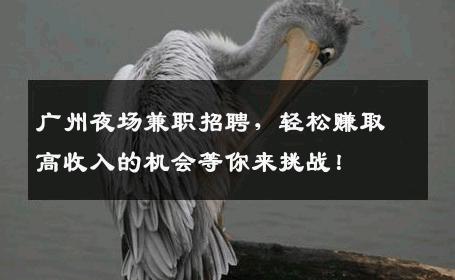 广州夜场兼职招聘，轻松赚取高收入的机会等你来挑战！