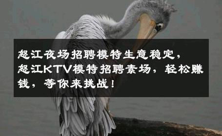 怒江夜场招聘模特生意稳定，怒江KTV模特招聘素场，轻松赚钱，等你来挑战！