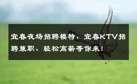 宜春夜场招聘模特，宜春KTV招聘兼职，轻松高薪等你来！
