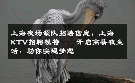 上海夜场领队招聘信息，上海KTV招聘模特——开启高薪夜生活，助你实现梦想