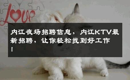 内江夜场招聘信息，内江KTV最新招聘，让你轻松找到好工作！