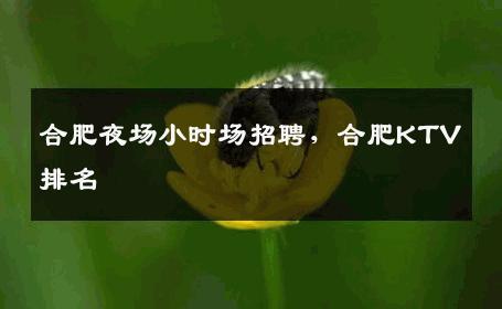 合肥夜场小时场招聘，合肥KTV排名