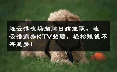 连云港夜场招聘日结兼职，连云港商务KTV招聘，轻松赚钱不再是梦！