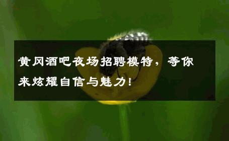 黄冈酒吧夜场招聘模特，等你来炫耀自信与魅力！