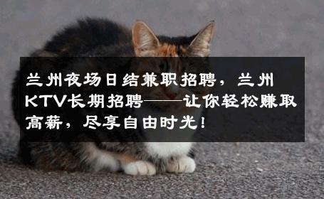 兰州夜场日结兼职招聘，兰州KTV长期招聘——让你轻松赚取高薪，尽享自由时光！
