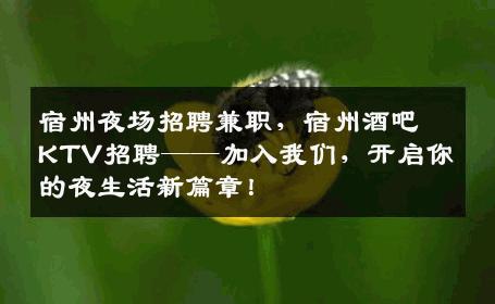 宿州夜场招聘兼职，宿州酒吧KTV招聘——加入我们，开启你的夜生活新篇章！