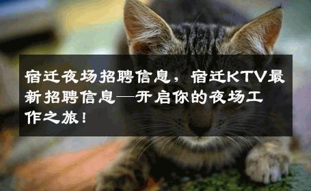 宿迁夜场招聘信息，宿迁KTV最新招聘信息—开启你的夜场工作之旅！