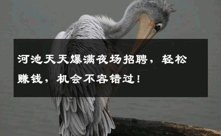 河池天天爆满夜场招聘，轻松赚钱，机会不容错过！