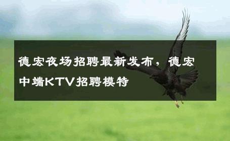 德宏夜场招聘最新发布，德宏中端KTV招聘模特