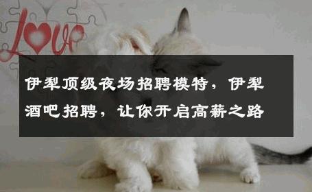 伊犁顶级夜场招聘模特，伊犁酒吧招聘，让你开启高薪之路