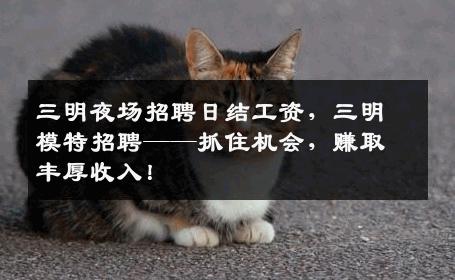 三明夜场招聘日结工资，三明模特招聘——抓住机会，赚取丰厚收入！