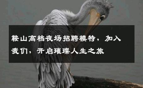 鞍山高档夜场招聘模特，加入我们，开启璀璨人生之旅