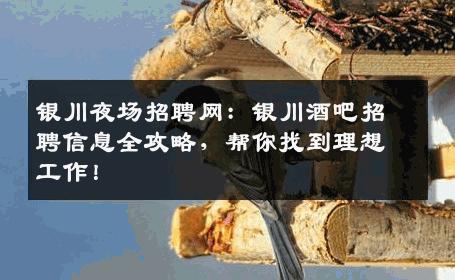 银川夜场招聘网：银川酒吧招聘信息全攻略，帮你找到理想工作！