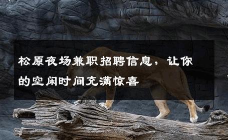 松原夜场兼职招聘信息，让你的空闲时间充满惊喜