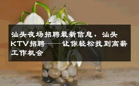 汕头夜场招聘最新信息，汕头KTV招聘——让你轻松找到高薪工作机会