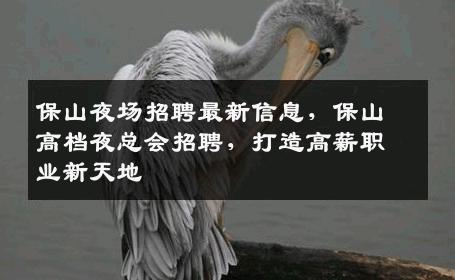 保山夜场招聘最新信息，保山高档夜总会招聘，打造高薪职业新天地