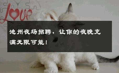 池州夜场招聘，让你的夜晚充满无限可能！