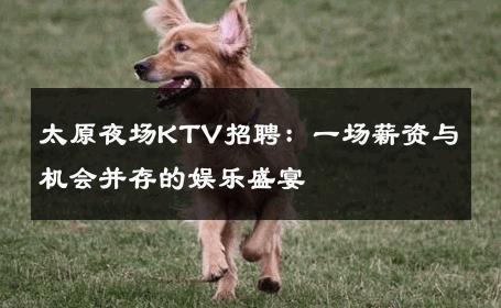 太原夜场KTV招聘：一场薪资与机会并存的娱乐盛宴