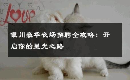 银川豪华夜场招聘全攻略：开启你的星光之路