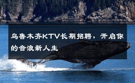 乌鲁木齐KTV长期招聘，开启你的音浪新人生