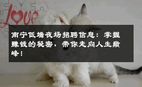 南宁低端夜场招聘信息：掌握赚钱的秘密，带你走向人生巅峰！