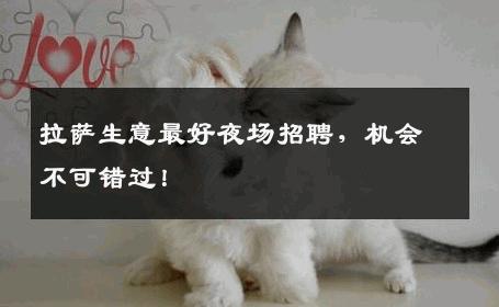 拉萨生意最好夜场招聘，机会不可错过！