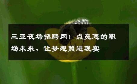 三亚夜场招聘网：点亮您的职场未来，让梦想照进现实