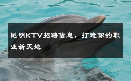 昆明KTV招聘信息，打造你的职业新天地