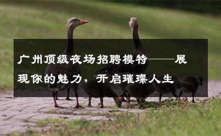 广州顶级夜场招聘模特——展现你的魅力，开启璀璨人生