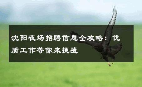 沈阳夜场招聘信息全攻略：优质工作等你来挑战
