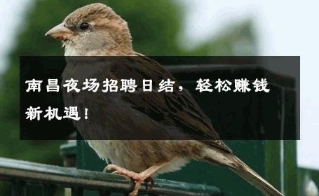 南昌夜场招聘日结，轻松赚钱新机遇！
