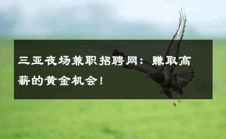 三亚夜场兼职招聘网：赚取高薪的黄金机会！