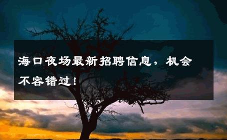 海口夜场最新招聘信息，机会不容错过！