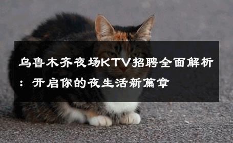 乌鲁木齐夜场KTV招聘全面解析：开启你的夜生活新篇章