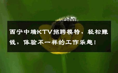 西宁中端KTV招聘模特，轻松赚钱，体验不一样的工作乐趣！