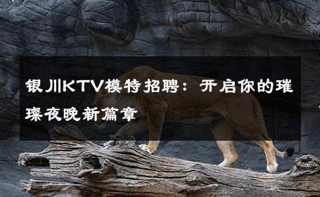 银川KTV模特招聘：开启你的璀璨夜晚新篇章
